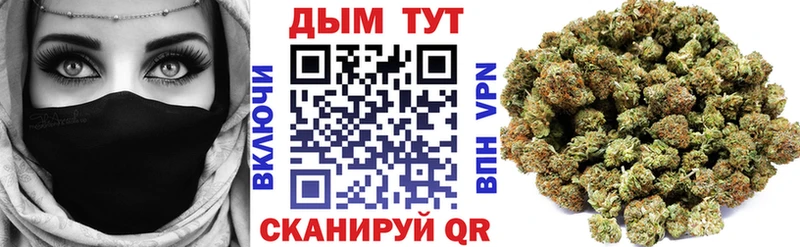 Бошки марихуана сатива  Баксан 